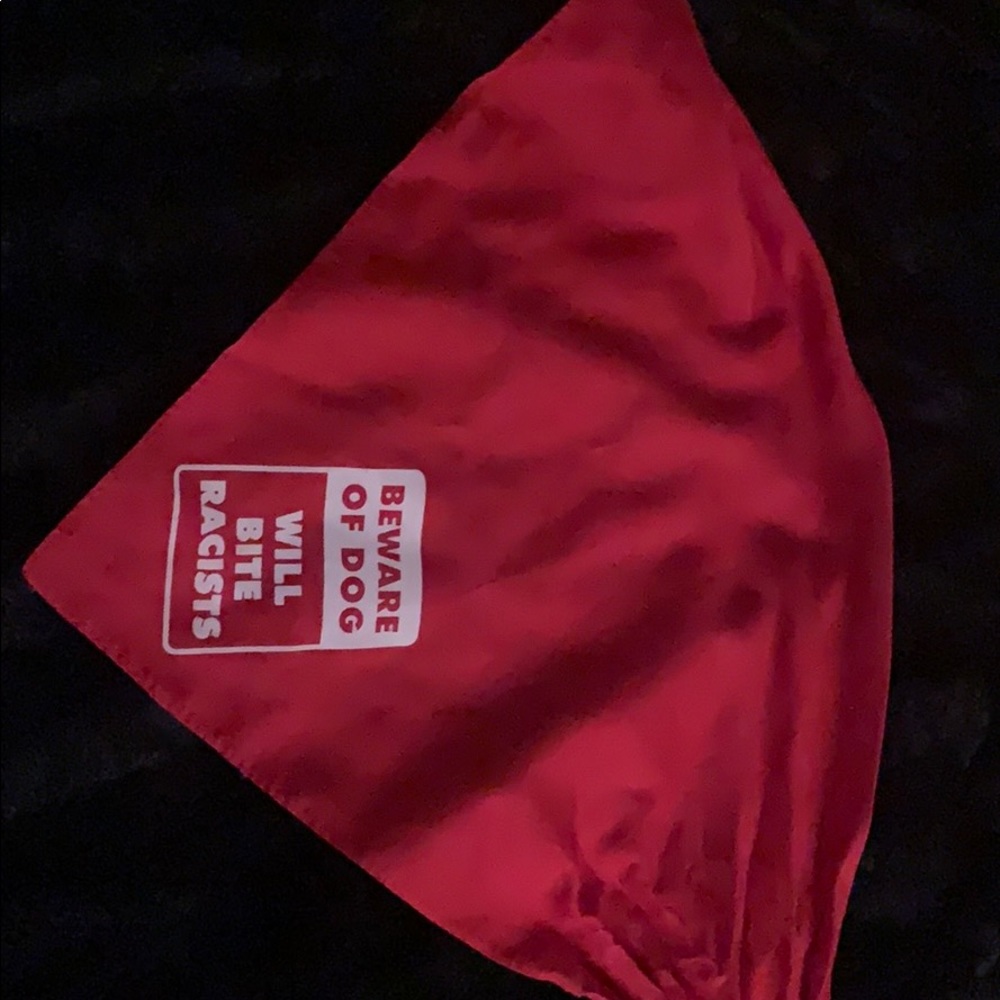 Doggy bandanna - Picture 2 of 2